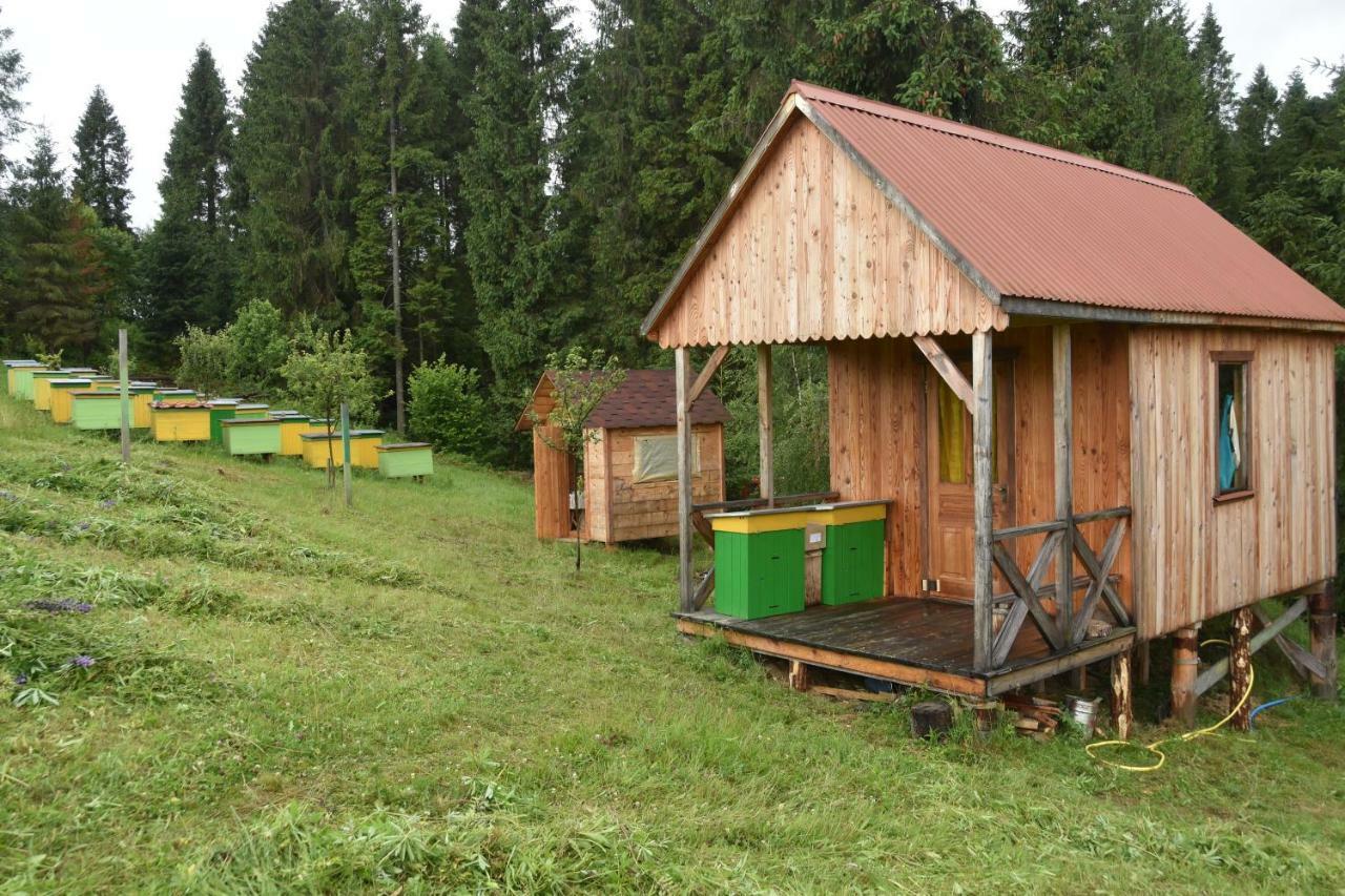 Зубровиця Bukovinka Zewnętrze zdjęcie